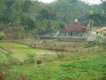 Tn P1030691